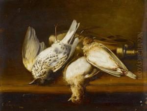 Gegenstucke: Nature Morte Aux Oiseaux by Ferdinand Ii Wagner