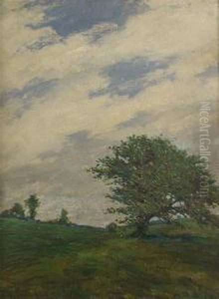 Untitled - view 1