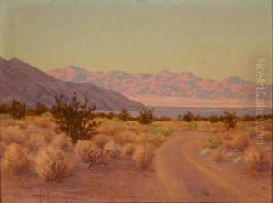 California Desert Scene