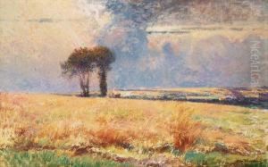 Askvadersstamning Fran Falten Vid Auvers by Alfred Wahlberg