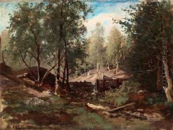 Forest Landscape - view 1