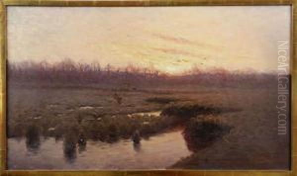 Strackande Ander - view 1