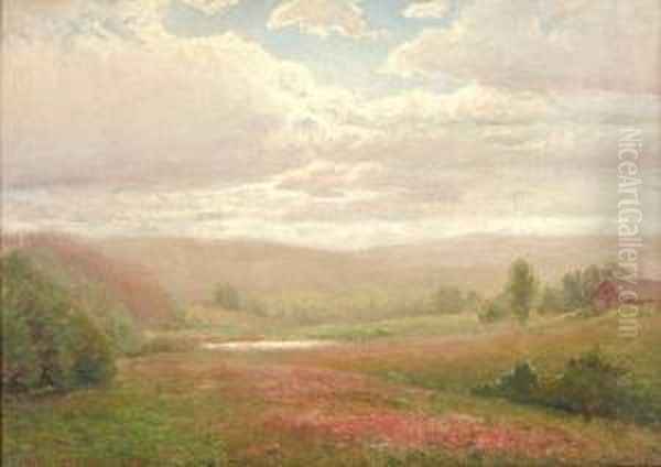 Midsummer - view 1