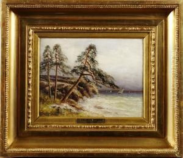 Kustlandskap - view 1