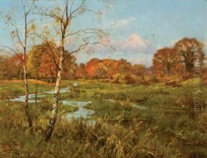 Winding Creek In Autumn