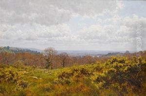 Surrey Hills