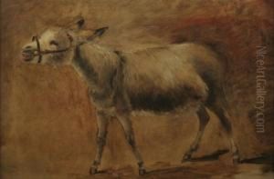 Schreiender Esel by John Cheltenham Wake