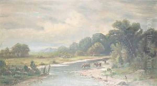 A California Landscape With Cattle Watering In A Stream - view 1