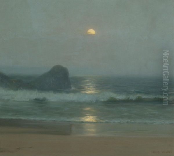 Moonlight Over The Coast - view 1