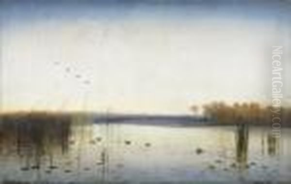 Untitled - view 1