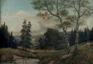 Paysage Vallonne Et Foret De Sapins