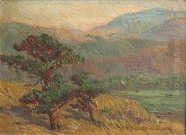 Trees By A Lake - view 1
