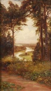 Looking Through The Trees by Francis S. Walker