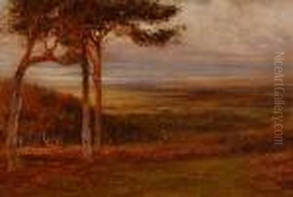 Alfoxden - view 1