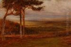 Alfoxden by Francis S. Walker
