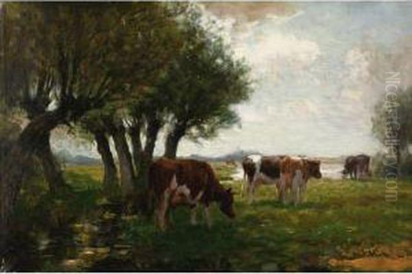 Cattle Grazing - view 1