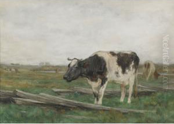 Cattle Grazing - view 1