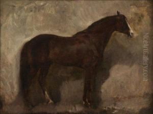 Portrait De Cheval. by James Alexander Walker