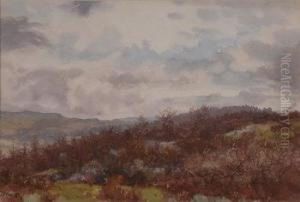 'grass Wood, Grassington' Autumn Landscape by John Doddy Walker