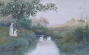 Swans On The Leam, Warwickshire 
 By The Avon, Warwickshire
