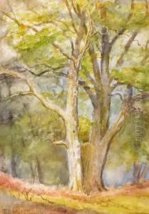 Woodlands by Thomas Bond, Tom Walker