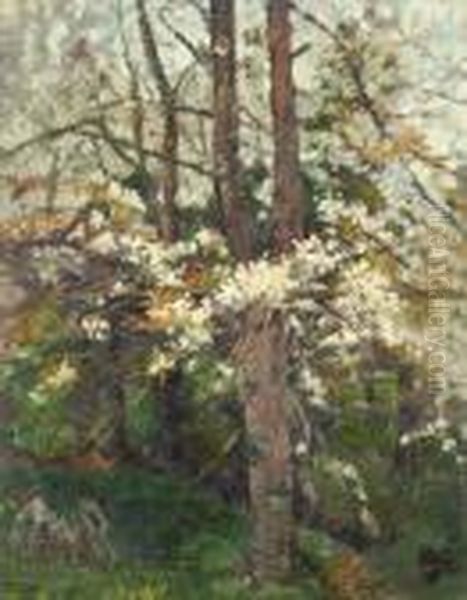Blossoming Trees - view 1