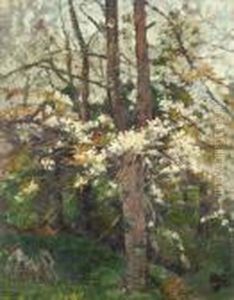 Blossoming Trees