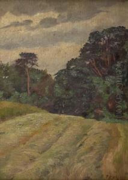 Field - view 1