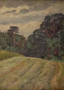 Field by Thomas Bond, Tom Walker