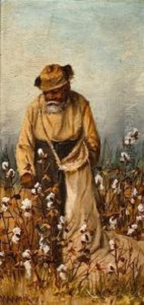 Cotton Picker - view 1
