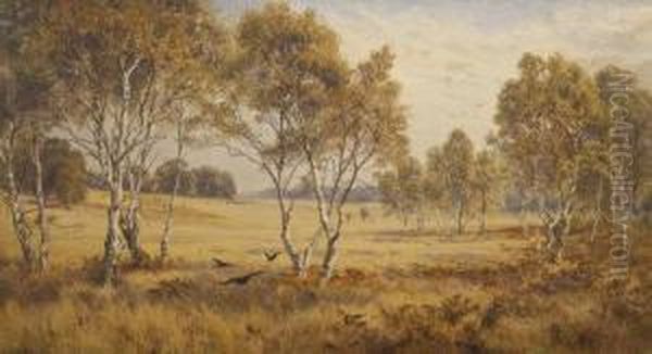 Summer Landscape With Birds And Trees - view 1