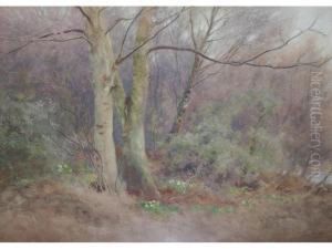 A Woodland Study by William Eyre Walker