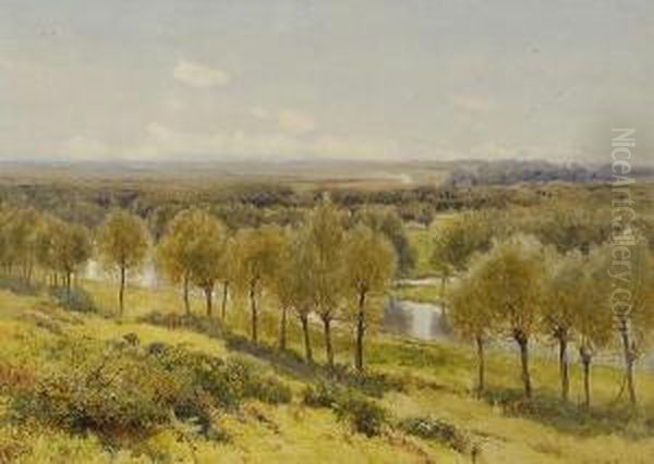 Willows And Watercourses On The Stort - view 1