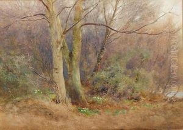 The Promise Of Springtime - view 1