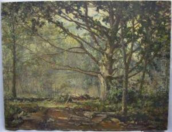 Forestlandscape. - view 1
