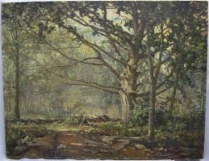 Forestlandscape. by David B. Walkley