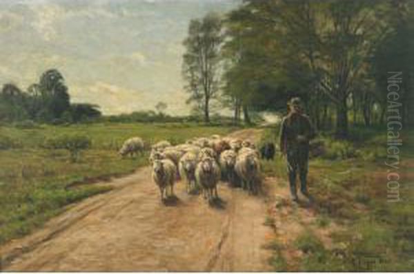 Farmer Leading His Flock On A Sunlit Lane - view 1