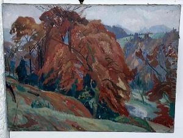 Autumn Colour Beech Trees In An Openlandscape - view 1