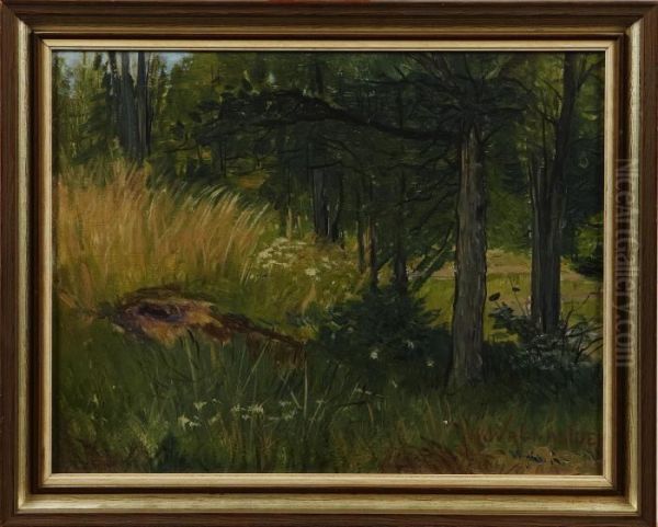 Skogsinterior - view 1