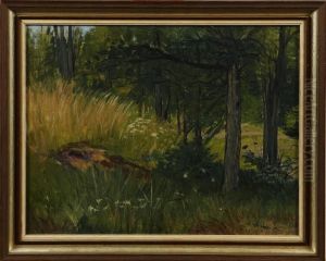 Skogsinterior