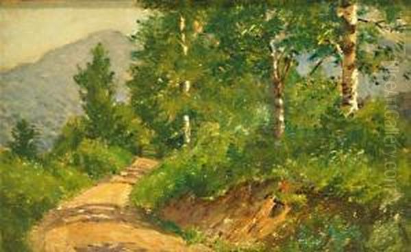 A Country Road - view 1
