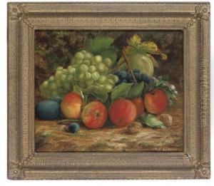 Apples, Grapes, Plums And Walnuts On A Bank