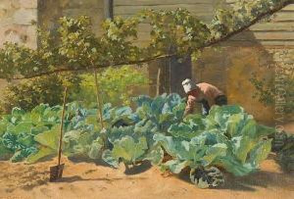 Tending The Cabbage Patch - view 1