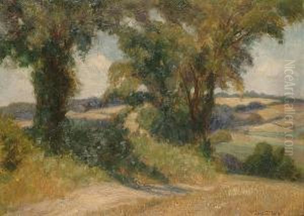 A Summer Landscape - view 1