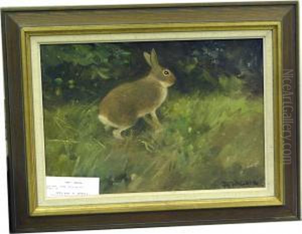 Hare. - view 1