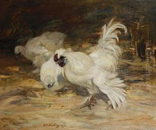 Silky Bantams In A Farmyard - view 1