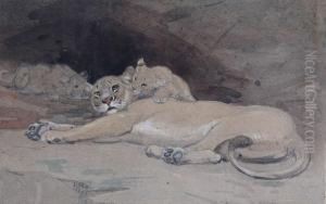 Liggende Tijgerin En Twee Welpen In Een Grot by William Walls