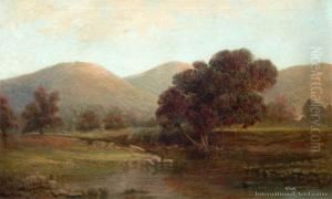 Warrens Creek, Port Fitzroy, Great Barrier Warrens Creek, Port Fitzroy, Great Barrier