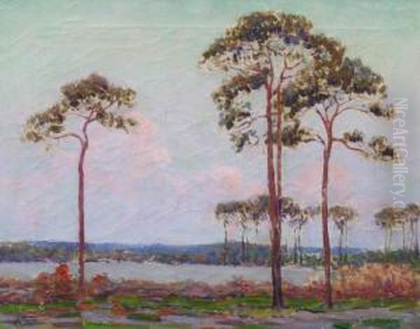 Coffee Pot Bayou - view 1