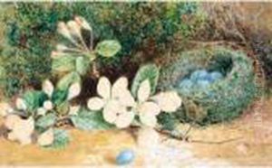 Bird's Nest With Apple Blossom; Chaffinch Nest With Cherry Blossom by Emma Walter